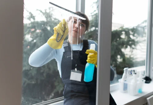 Nettoyage de vitres intérieures et extérieures à Argiésans